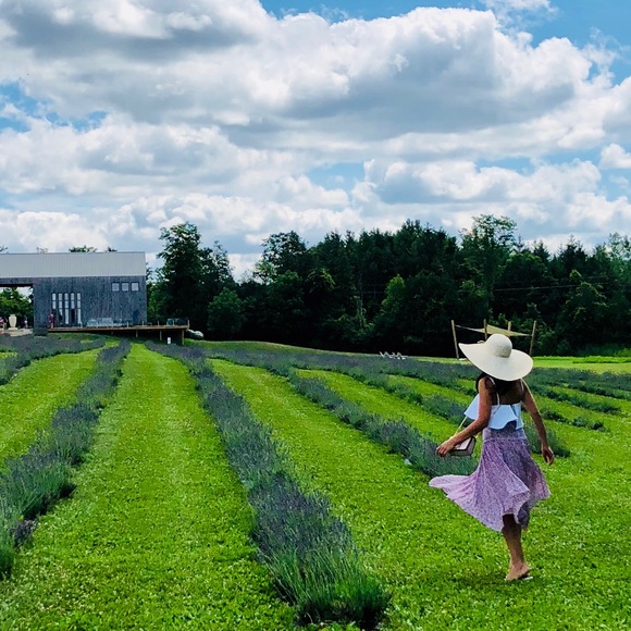 Meet your Posher, Anna - Picture 1 of 1